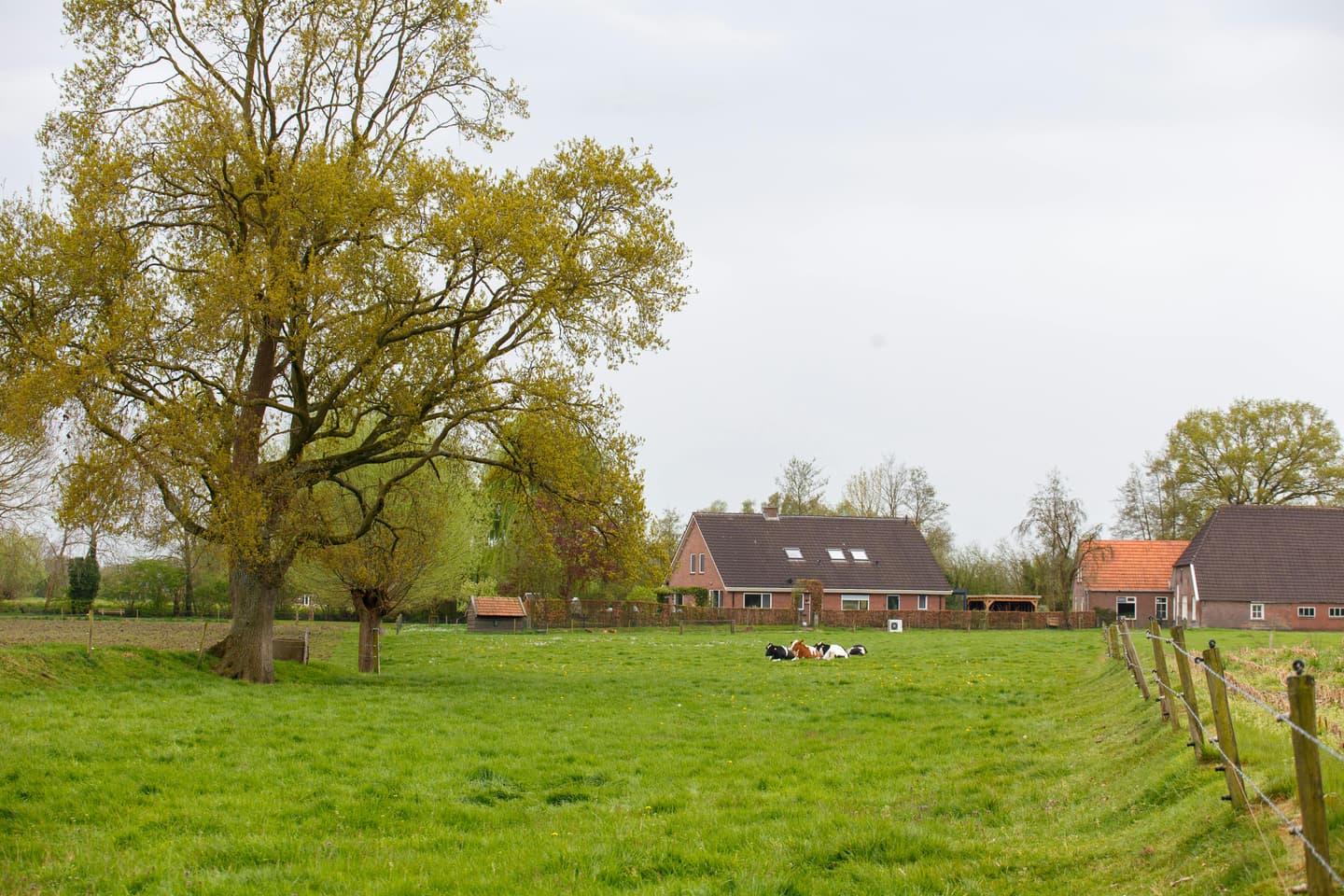 Inbox Storage opslag in Dieren — opgehaald aan huis
