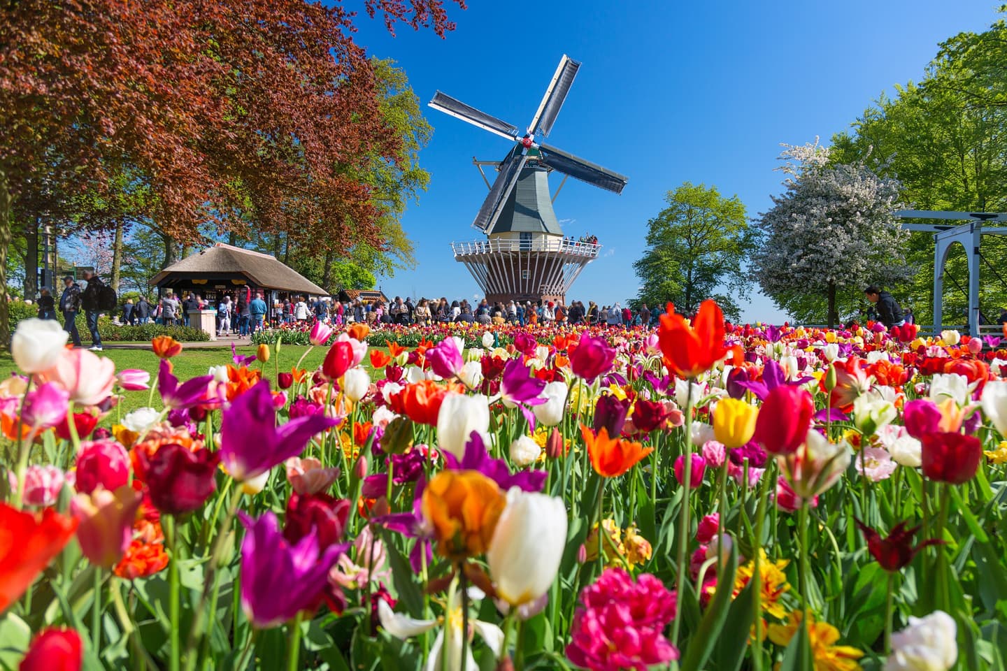 Opslagruimte huren in Haarlemmermeer — Inbox Storage haalt je spullen thuis op